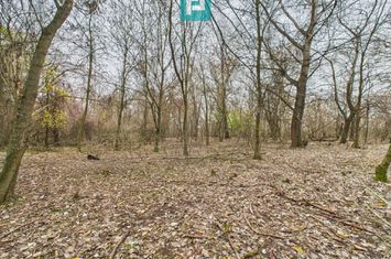 Teren pe malul Muresului- oportunitati multiple anunturi imobiliare Timis