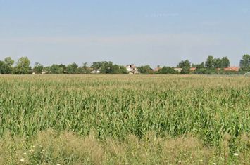 Teren de vanzare TAMASEU - Bihor anunturi imobiliare Bihor