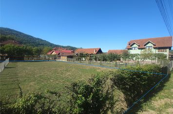 Teren Extravilan de vanzare CRISCIOR - Hunedoara anunturi imobiliare Hunedoara