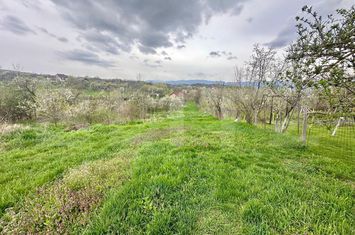 Teren de vanzare OARDA - Alba anunturi imobiliare Alba