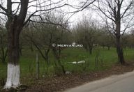 37.500 €, Teren Intravilan