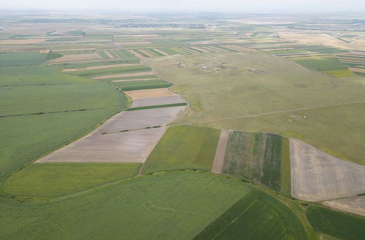 Teren arabil de 40 hectare în Zarand anunturi imobiliare Arad