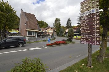 Teren de vanzare SINAIA - Prahova anunturi imobiliare Prahova