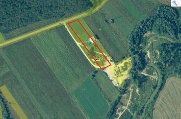 Teren extravilan 5.800 mp – Prodanesti, com. Creaca, jud. Sălaj anunturi imobiliare Salaj
