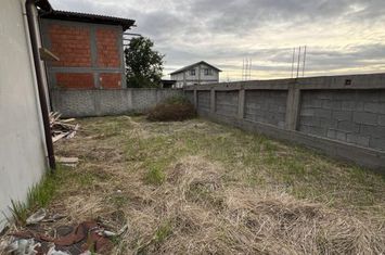 Casă - 4 camere de vanzare PIELESTI - Dolj anunturi imobiliare Dolj