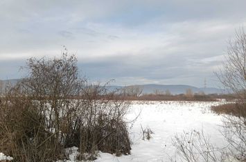 320 ha pasune si pasune impadurite pentru arenda, superficie sau achititie anunturi imobiliare Arad