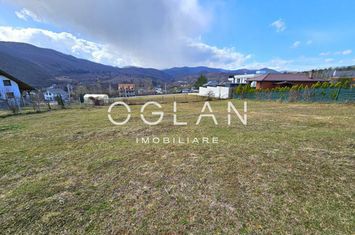 Teren de vanzare CISNADIOARA - Sibiu anunturi imobiliare Sibiu