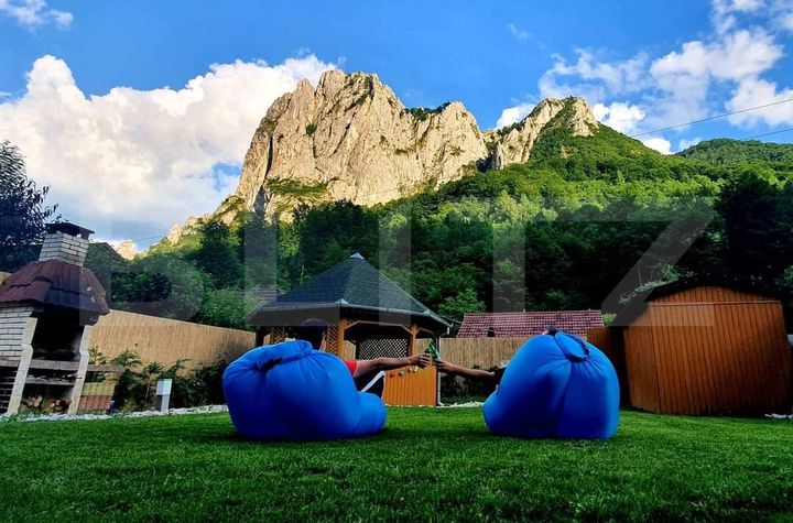 Vilă - 6 camere de vanzare TEIUS - Alba anunturi imobiliare Alba