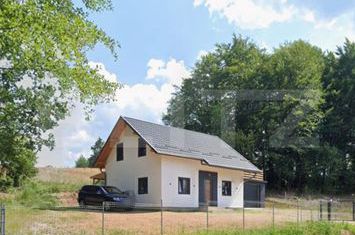 Vilă - 4 camere de vanzare RASCA - Cluj anunturi imobiliare Cluj