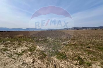 Teren de vanzare! anunturi imobiliare Sibiu