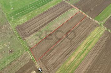 Teren Intravilan de vanzare GIRISU DE CRIS  - Bihor anunturi imobiliare Bihor