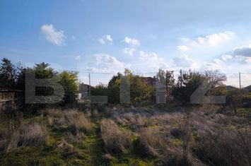 Teren de vanzare CERNELE - Dolj anunturi imobiliare Dolj