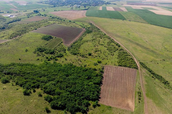 Teren Extravilan de vanzare ROATA DE JOS - Giurgiu anunturi imobiliare Giurgiu