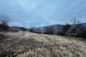 Teren de vanzare VINTU DE JOS - Alba anunturi imobiliare Alba