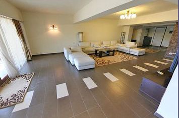 Apartament de lux 5 camere cu gradna zona Tei Petricani anunturi imobiliare Bucuresti