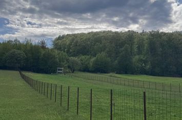 Teren de vanzare MARGINEA - Suceava anunturi imobiliare Suceava