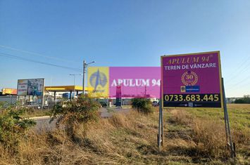 Săbăreni, teren intravilan construibil 3 ha, pe DJ602 anunturi imobiliare Giurgiu