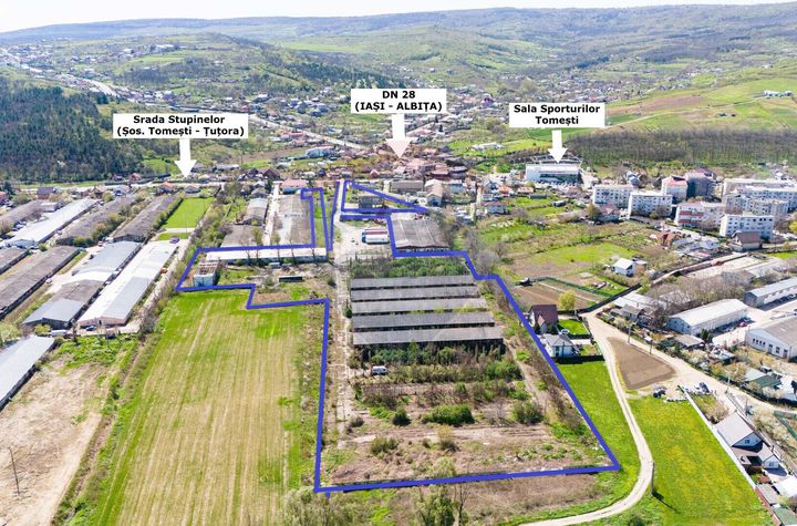 Teren Industrial 3Ha și Hală 1000mp de Vânzare în Tomesti - IAȘI anunturi imobiliare Iasi