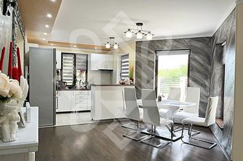 Casa moderna cu priveliste superba in Saldabagiu de Munte anunturi imobiliare Bihor