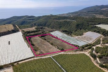 Teren 11.750 mp în Paralia Folias, Kavala anunturi imobiliare Grecia