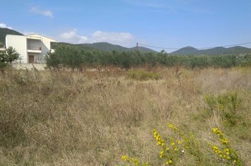 Teren construibil 747,18 mp în Agios Andreas anunturi imobiliare Grecia