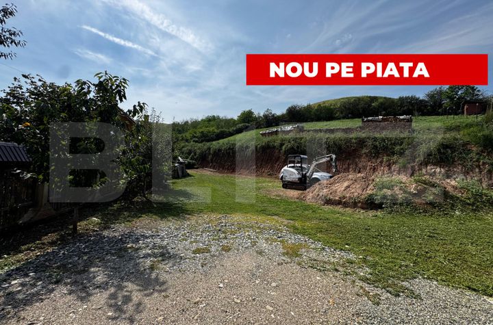 Teren de vanzare SARD - Alba anunturi imobiliare Alba