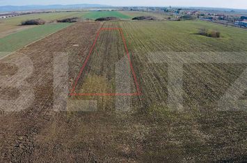 Teren de vanzare VLADIMIRESCU - Arad anunturi imobiliare Arad