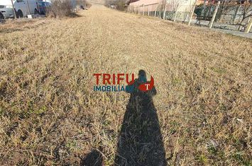 Teren Intravilan de vanzare CIUGUD - Alba anunturi imobiliare Alba