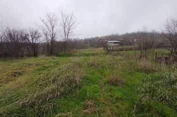 Teren de vanzare BRESTEI - Dolj anunturi imobiliare Dolj