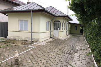 Teren Intravilan de vanzare DOMNESTI - Bucuresti anunturi imobiliare Bucuresti