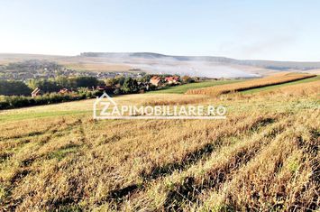 Teren 25.000 mp.  Comuna Voiniceni ,12 euro mp.comision ZERO anunturi imobiliare Mures
