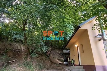 Casă - 3 camere de inchiriat FLORESTI - Cluj anunturi imobiliare Cluj