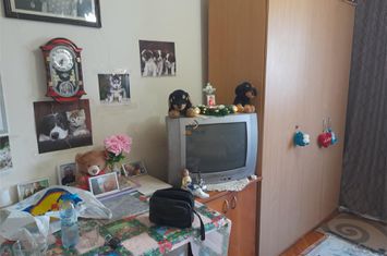 Garsonieră de vanzare BUZIASULUI - Timis anunturi imobiliare Timis