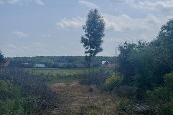 Teren de vanzare MARGINEA - Suceava anunturi imobiliare Suceava