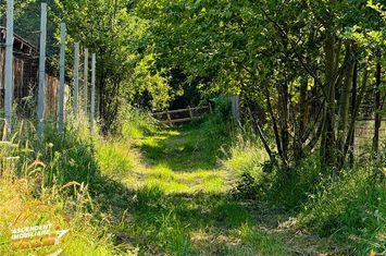 Teren Extravilan de vanzare DOBARLAU - Covasna anunturi imobiliare Covasna