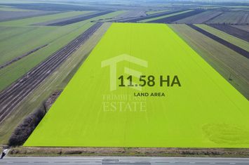 Teren folosinta conditii speciale | Oportunitate investitie | Nadlac anunturi imobiliare Arad