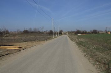 Domnesti-Ciocarliei-Salciei STRADAL anunturi imobiliare Bucuresti