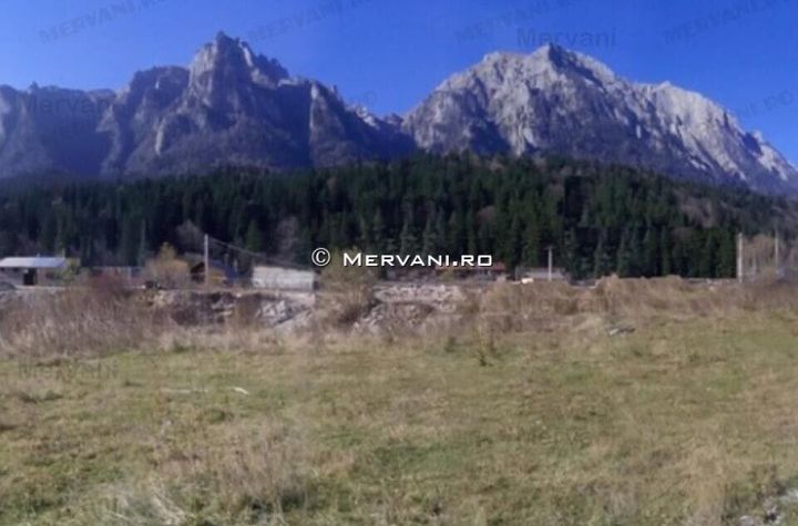 Teren Intravilan de vanzare BUSTENI - Prahova anunturi imobiliare Prahova