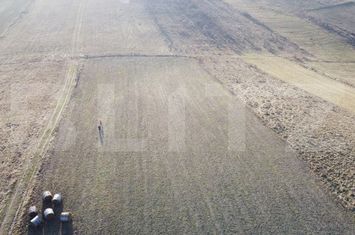 Teren de vanzare CHINTENI - Cluj anunturi imobiliare Cluj