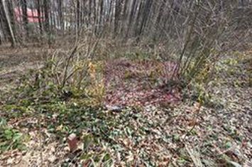 Tere intravilan de vanzare in Sinaia anunturi imobiliare Prahova