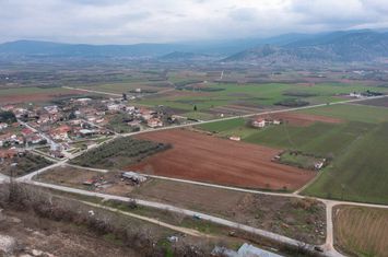 Teren construibil 10.153 mp în Doxato, Drama anunturi imobiliare Grecia