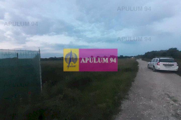 Teren aproape de Bucuresti langa padure anunturi imobiliare Bucuresti
