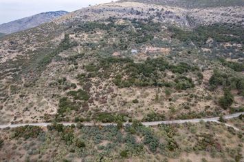 Teren construibil 12.529 mp în Mikros Prinos, Thassos anunturi imobiliare Grecia
