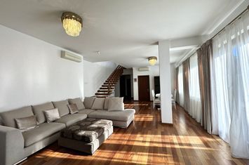 Vila individuala cu gradina, situata in apropiere de padure, Iancu Nicolae anunturi imobiliare Bucuresti
