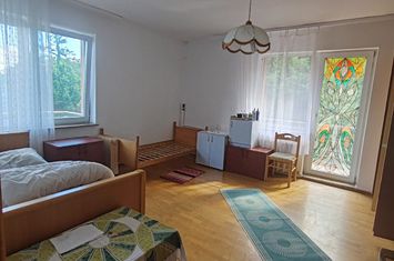 Vilă - 10 camere de vanzare BAIA MARE - Maramures anunturi imobiliare Maramures