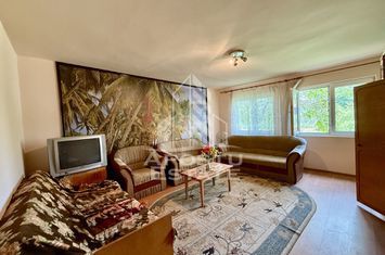 Casa individuala, teren 4000 mp, Cebza anunturi imobiliare Timis