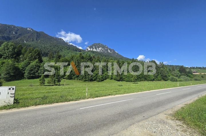 Teren intravilan Zarnesti Plaiul Foii anunturi imobiliare Brasov