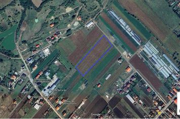 Teren Intravilan de vanzare SANTANA DE MURES - Mures anunturi imobiliare Mures