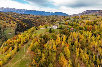 Teren Extravilan de vanzare EXTERIOR EST - Brasov anunturi imobiliare Brasov