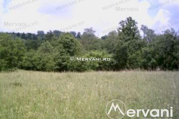 Teren Intravilan de vanzare VOILA - Prahova anunturi imobiliare Prahova